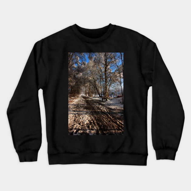 Winter Wonderland Crewneck Sweatshirt by annaprendergast